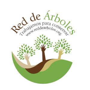 Fondation du réseau d'arbres